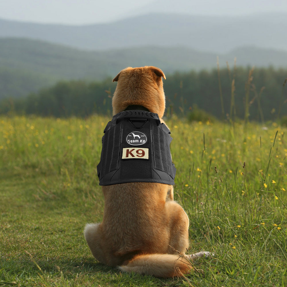 Tactical Dog Harness No-Pull With Front And Back D-Rings Quick-Release Buckles Top Handle Heavy-Duty Training