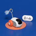 Remote control car cat toy with feather
