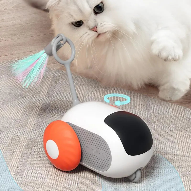 Remote control car cat toy with feather