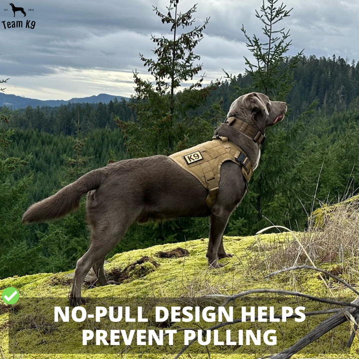 Tactical Dog Harness No-Pull With Front And Back D-Rings Quick-Release Buckles Top Handle Heavy-Duty Training