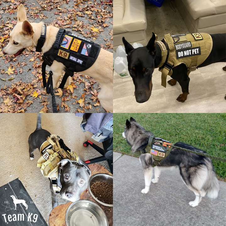 Tactical Dog Harness No-Pull With Front And Back D-Rings Quick-Release Buckles Top Handle Heavy-Duty Training