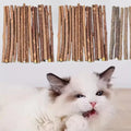 Natural Matatabi Cat Chew Sticks 15-Pack - Silvervine Catnip Dental Toy for Teeth Cleaning