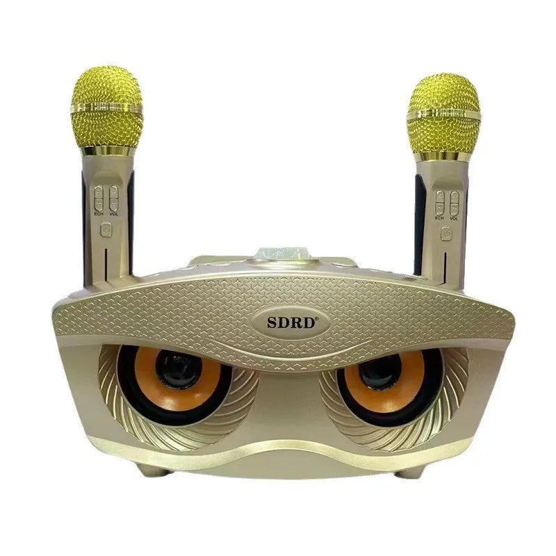 Bluetooth Karaoke Speaker 30W Portable System Home Party Karaoke Machine Dual Microphones TikTok Viral Fall 2025 Gift