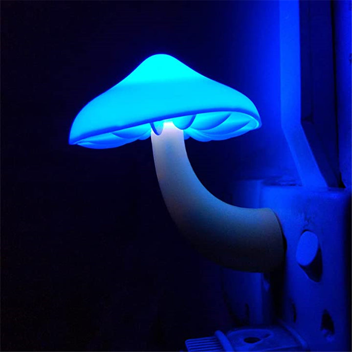 Glowing mushroom night light in wall