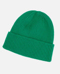 Warm Classic Beanie Hat - Ribbed Cuff, Wool, Winter